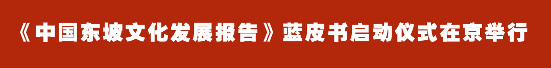 皮书报告